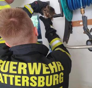 2023.05.25 Tierrettung Mattersburg