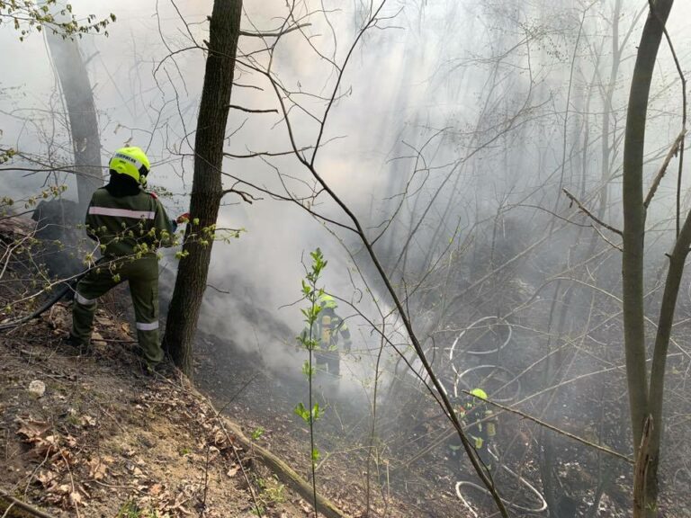 Waldbrandverordnung tritt in Kraft