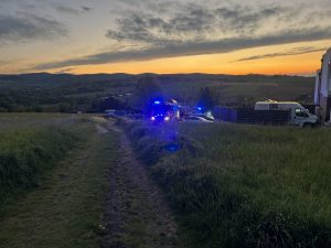 IMG_336248767806