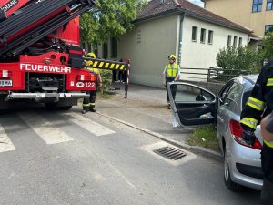 PHOTO-2026-05-11-17-44-17(1)