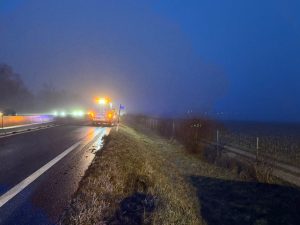 WhatsApp Image 2026-02-05 at 17.25.38